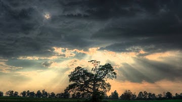 Surat Alwaqia - سـورة الـواقـعـة - للقارئ عبدالرحمن الزياني