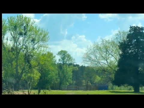 Let’s Ride! Who else Loves The Great Outdoors 🌳☀️❤️‍🔥. Outdoor Vlog #33.