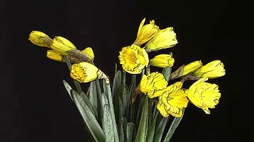 psychOmetric, from the album octOgon, by zerO One.