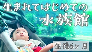 [Eng Sub] Visiting the Sumida Aquarium with baby Ayato