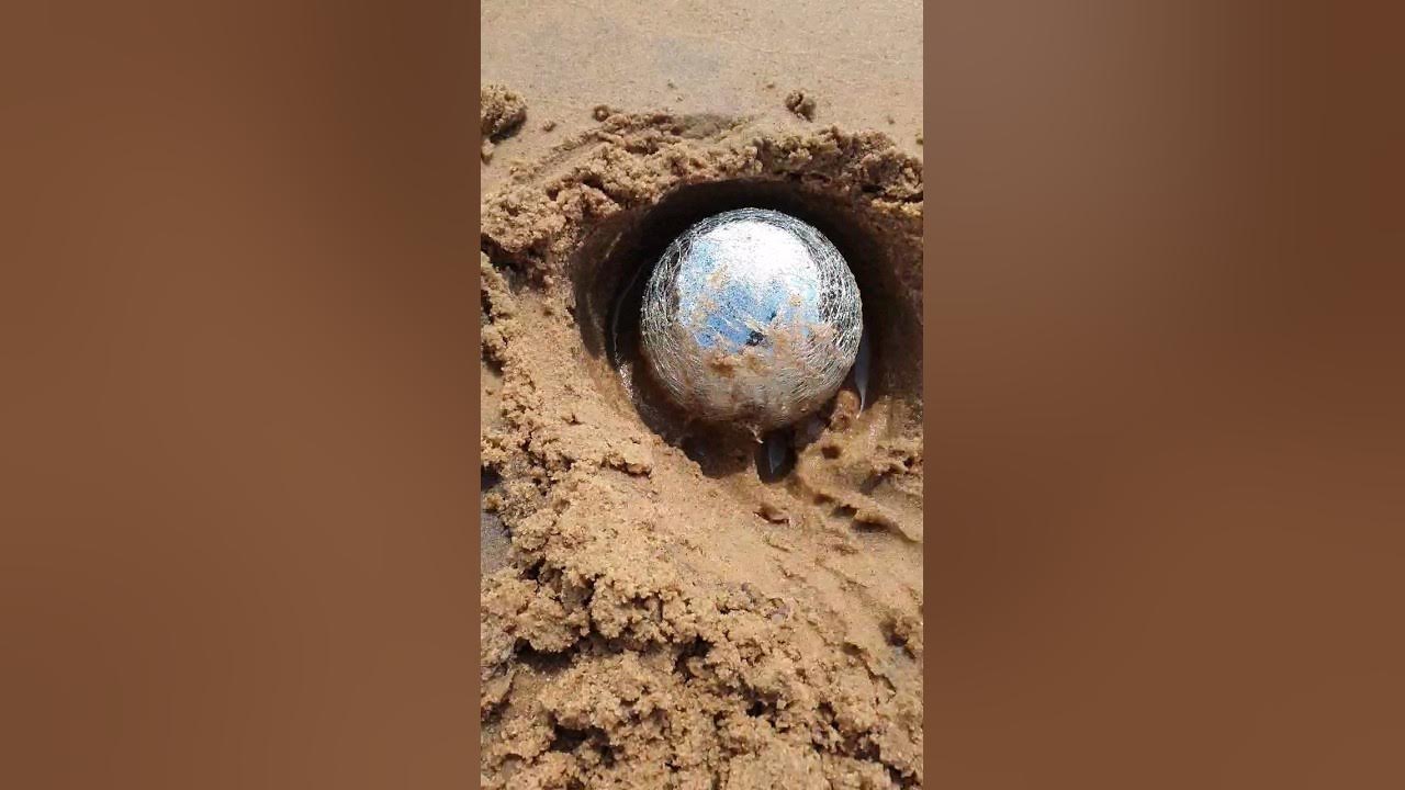 Aliens hid their UFO on the beach Aliens hid their UFO on the beach