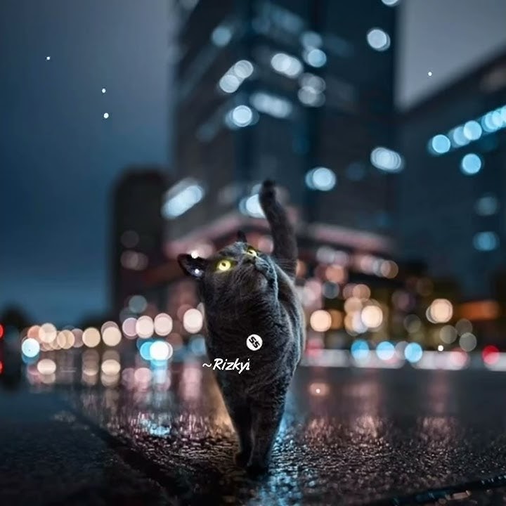 STORY WA DJ QUOTES 30 DETIK TERBARU || STATUS WA KEREN KEKINIAN 2021