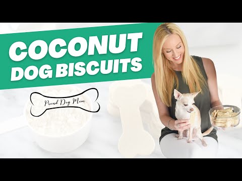 Video: Glutenfri Apple Cinnamon Dog Treat Opskrift