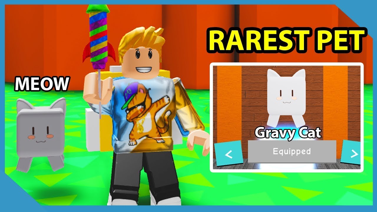 Roblox Developer Gave Me My Own Pet In This Game Roblox Cat Simulator Youtube - mlg cat pro roblox