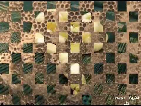 اغنية سبحة رمضان