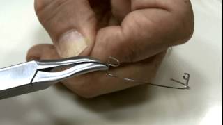 P Loops   Video 2 of 4