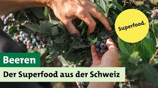 Beeren – der Superfood aus der Schweiz