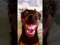 #usa #funny #viral #memes #comedy #funnyvideos #lol #funny