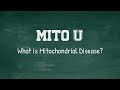 Mito u what is mitochondrial disease