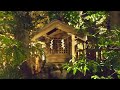 Hell NO / KAT-TUN 歌ってみた。カラオケ。
