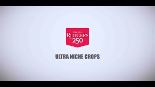 Rutgers Ultra Niche Crops | Roselle | Live Stream