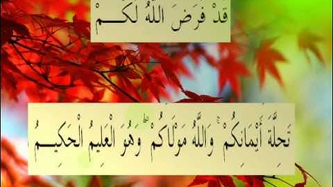 القران الكريم سورة التحريم الأية 2.wmv
