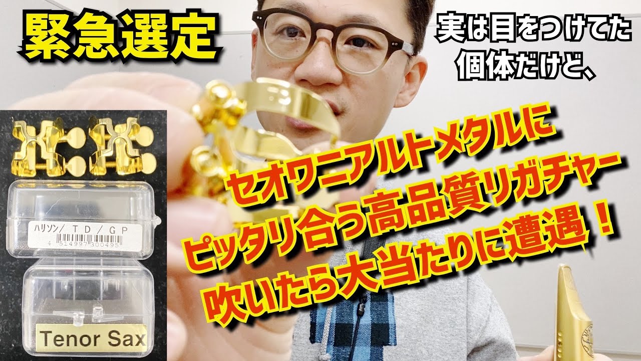 悔しいほど大当たり)付属よりも良いセオワニアルトメタルマウスピース