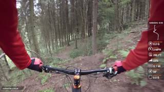 Dalby OP   Quarry Carnage