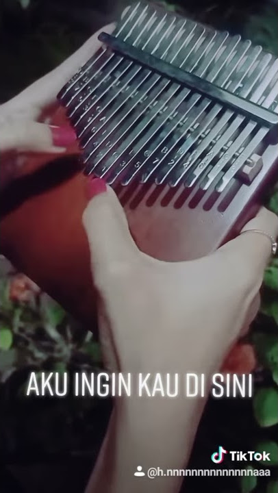 aku takut kamu pergi ( kalimba )