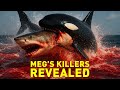 Orcas Conquered the Megalodon - Here’s Why They’re the Deadliest Predators