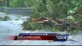 Trees and wires down in Monroeville