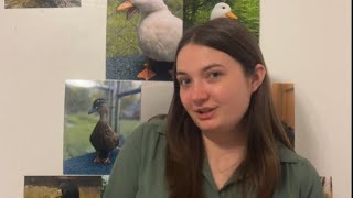 Ranking My Pet Ducks | Duck Pyramid Week 25