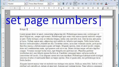 Open Office Page Numbers