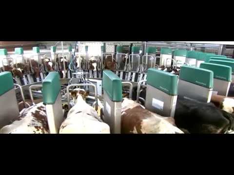 GEA Farming - DairyProQ: Episode 1 - Listening to the needs of customers - EN