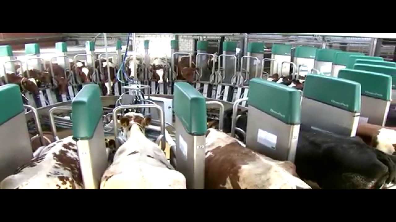 GEA Farming DairyProQ Episode 1 Listening to the needs of