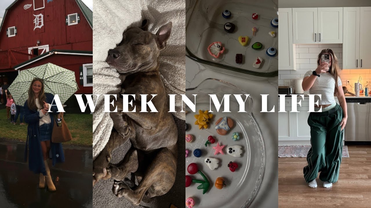WEEKLY VLOG: 1st week with my new shelter dog, reorganizing my home, weird cider mill experience