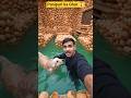 Panipuri ka Ghar 🥰 Cute dog 🐕#viral #trending #dogs #panipuri #aishorts #ai #trend