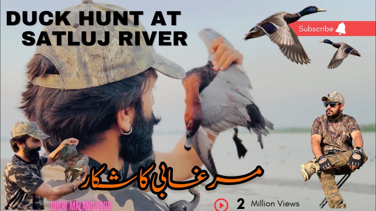 What an Amazing Duck Hunt in Satluj River
