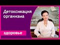 Зачем нужна детоксикация организма? И как ее проводить? [Галина Гроссманн]