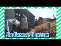 ✅ПОМОГАЕМ БАБУШКЕ НА ДАЧЕ 🏡🧓 Навоз, сено, мусор, вода в подполе.