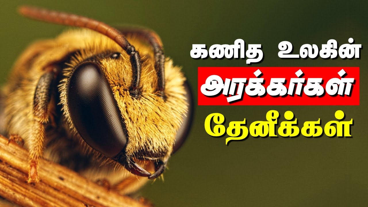 ஒரே ஒரு தேனியால் இறைவனை நிரூபிக்க முடியுமா? | Can one honeybee prove God? |Quran and science #19