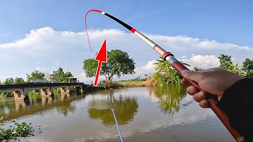 Lại Kiếm Thêm Một Điểm Câu Cá Diếc Khủng - Câu Đài Nghiệp Dư