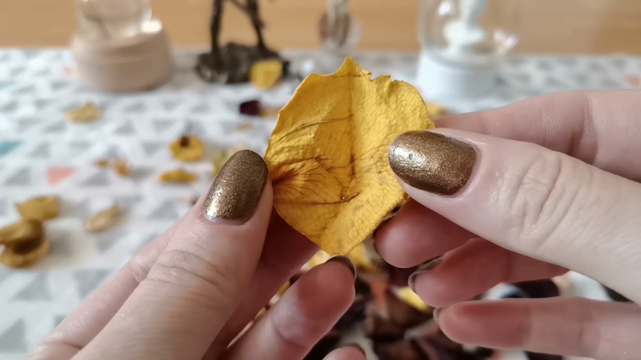 🌹 Rose Petal Reading // What Is Changing In Your Love Energy? #roseomancy