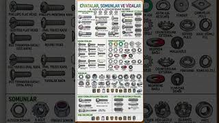 Civata, somun, Vida Çeşitleri / Types of Bolts, Nuts, and Screws #shorts #viral #shortvideo #funny