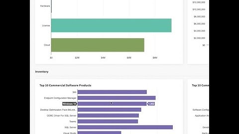 Flexera Vendor Workspace Demo