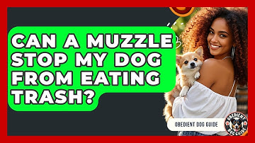 Can A Muzzle Stop My Dog From Eating Trash? - Obedient Dog Guide