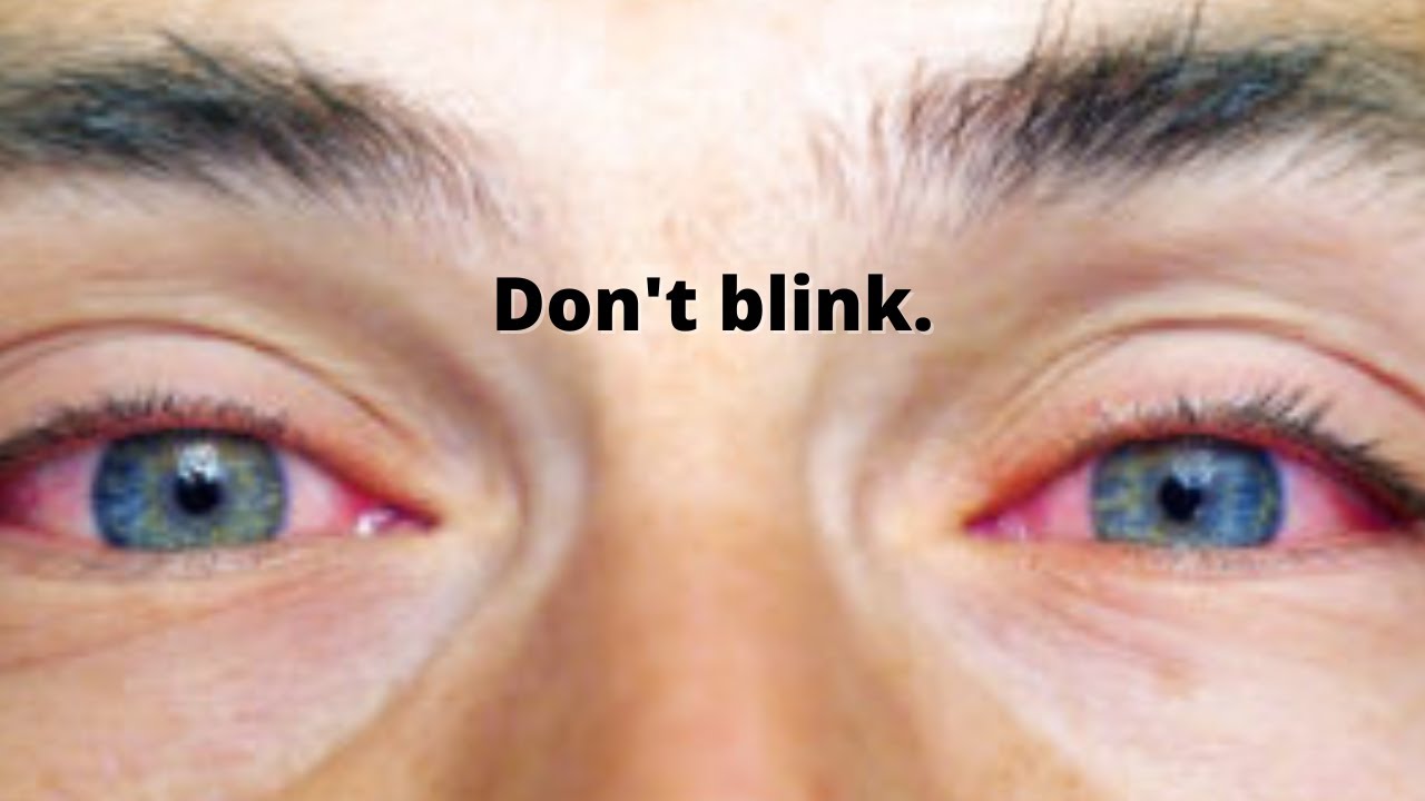 World Record Staring Contest! YouTube