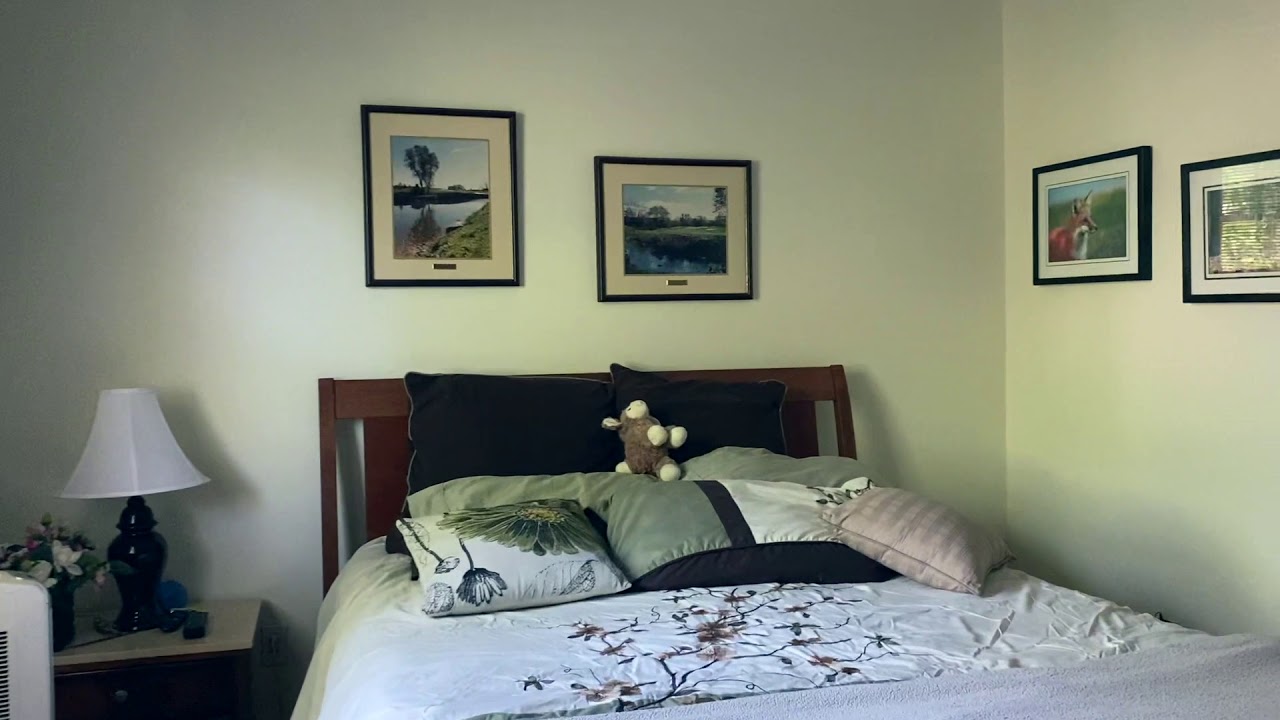 18 Tamarack Circle YouTube