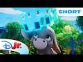 Magicampers | Loomis Shows You The Amazing Critters on Magicamp Island🏝️💛 | NEW SHOW | @disneyjr
