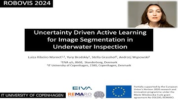 Uncertainty Driven Active Learning for Image Segmentation in Underwater Inspection