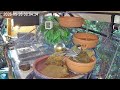 Ruhiger Morgen am Vogel-Spa (26.05.2026)