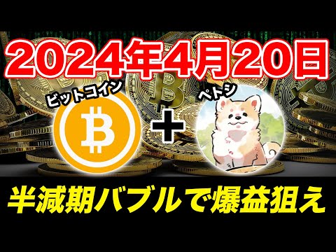 【半減期】ビットコイン半減期まで残り僅か！BTCを買うなら…ぺトシに投資したほうが良いよ【Petoshi】【仮想通貨】