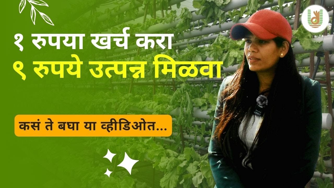 एक रुपया खर्चात नऊ रुपये उत्पन्न देणारी नवी Technique | Hydroponics Farming | @kryzenbiotech4773