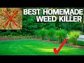 Best Homemade Organic Weed Control - Natural & Safe
