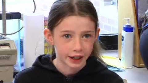 Guided Reading with Transitional Reading - Informational Text