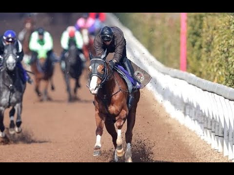 競馬　本馬場　東日本　主場　特別競走　入場曲　高音質