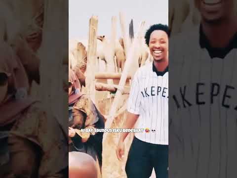 Somalia Duet Ciyaalxamar Comedyshorts Funny Qarama Comedyvideos Habesha Somalicommunity