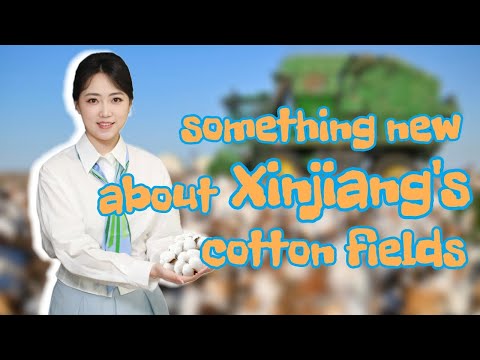 New Agricultural Practices in Xinjiang: More Smart Technologies, a Happier Life