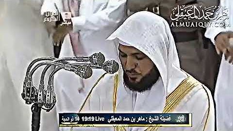 الشيخ ماهر المعيقلي أواخر سورة النبإ