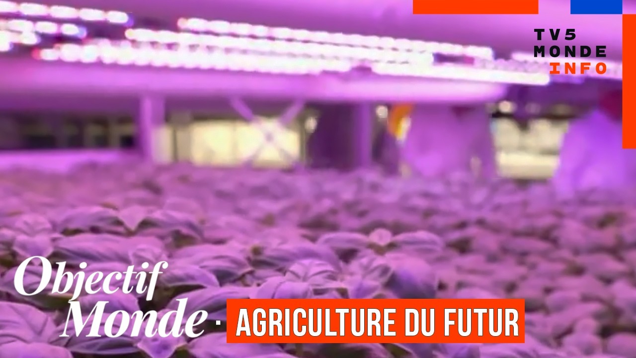 Agriculture du futur : cultiver verticalement ou sous la mer ? (Objectif Monde 2026)
